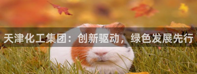 球盟会能退钱吗知乎：天津化工集团：创新驱动，绿色发展先行