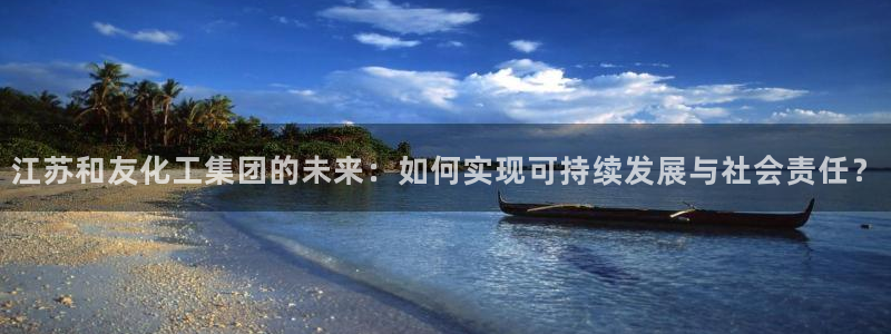 球盟会app最新地址在哪里：江苏和友化工集团的未来：如何实现