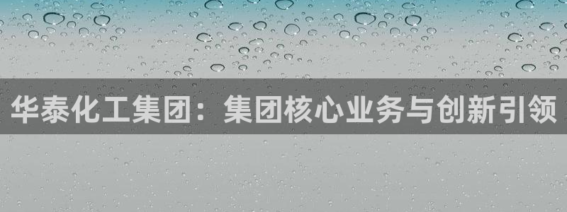 球盟会官方登录平台入口：华泰化工集团：集