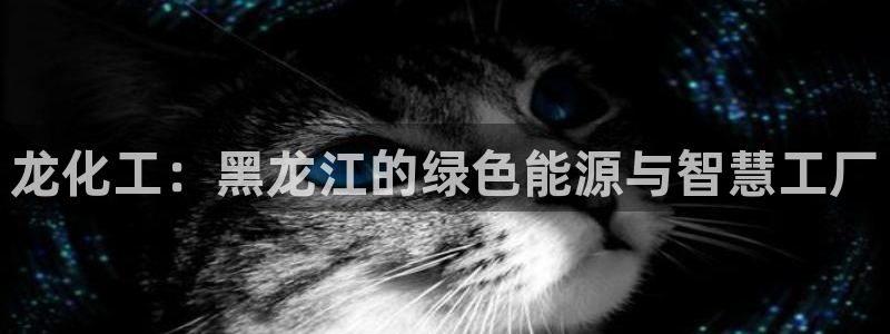 球盟会入口：龙化工：黑龙江的绿色能源与智