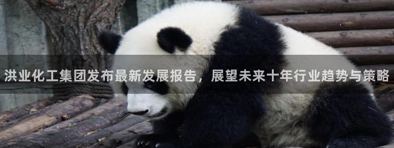 球盟会黑款吗：洪业化工集团发布最新发展报
