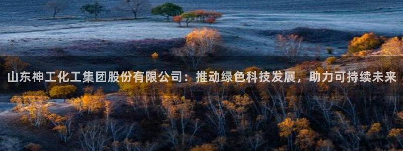 球盟会类似的网站：山东神工化工集团股份有限公司：推动绿色科技