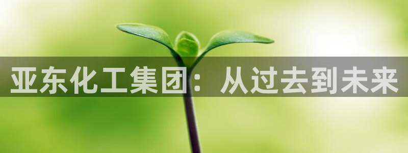 球盟会有没有黑单的人：亚东化工集团：从过