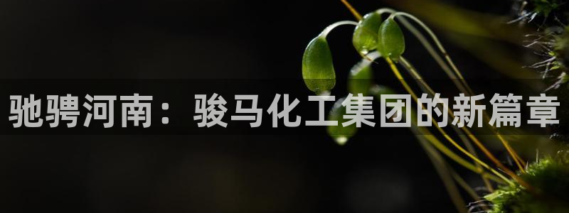 球盟会电子好黑：驰骋河南：骏马化工集团的