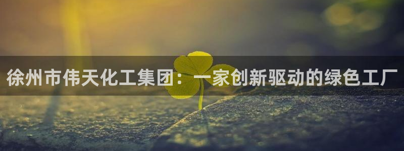 球盟会中国网页登录：徐州市伟天化工集团：