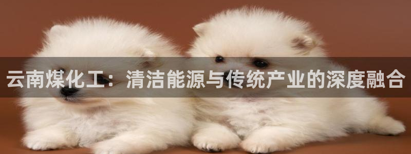 球盟会网页登录：云南煤化工：清洁能源与传