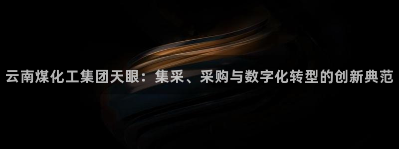 球盟会黑网：云南煤化工集团天眼：集采、采购与数字化转型的创新