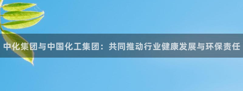 球盟会黑台子：中化集团与中国化工集团：共同推动行业健康发展与