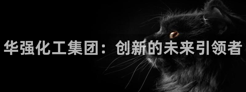 球盟会中国官方网站