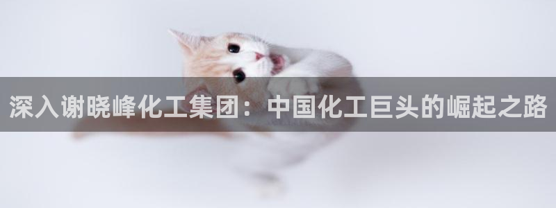 球盟会能提现吗安全吗