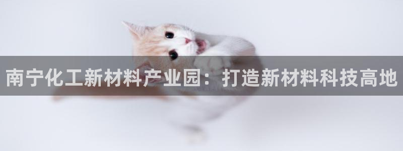 球盟会提款支付宝怎么样：南宁化工新材料产业园：打造新材料科技