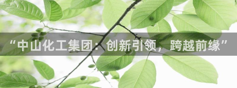 球盟会最新