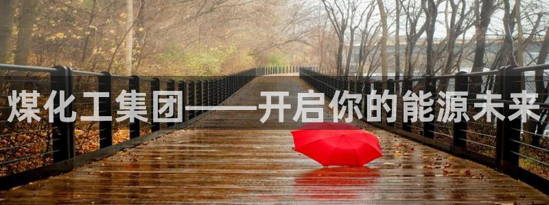 球盟会有限公司怎么样