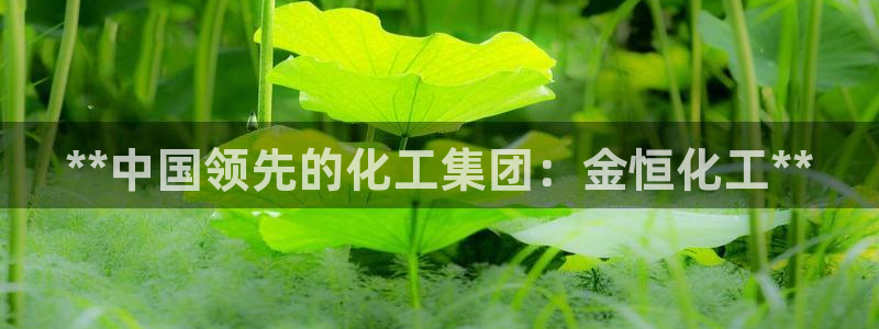 球盟会在线登入