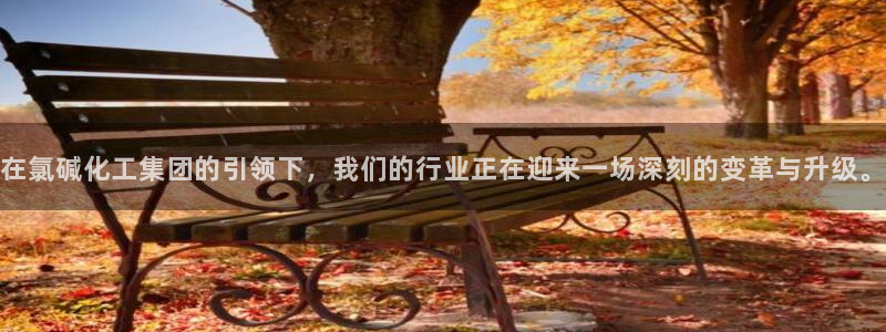 球盟会在线登录