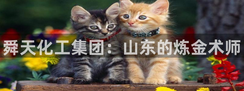 球盟会最新活动