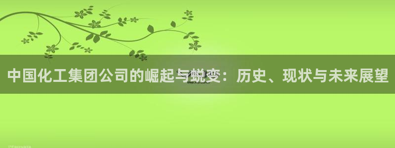 球盟会中国网页登录