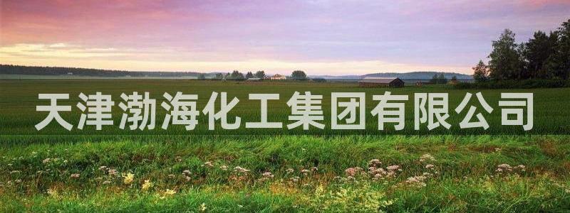 球盟会官方网站app