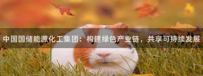 球盟会里面有打牌的嘛是真的吗：中国国储能源化工集团：构建绿色