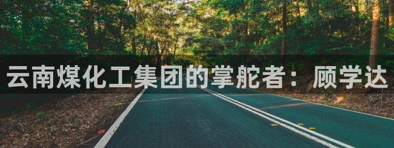 球盟会可以提现么：云南煤化工集团的掌舵者：顾学达