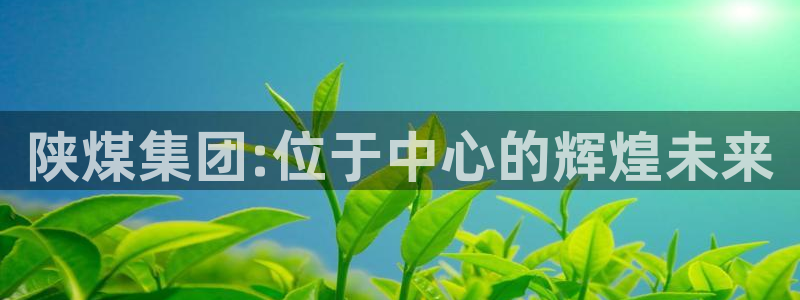 球盟会综合体育平台怎么样：陕煤集团:位于中心的辉煌未来