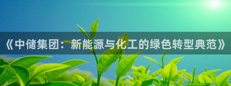 球盟会综合app下载：《中储集团：新能源与化工的绿色转型典范
