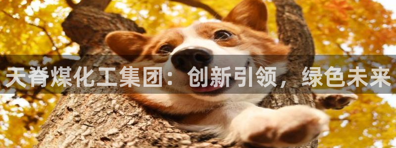 球盟会下载最新版：天脊煤化工集团：创新引领，绿色未来