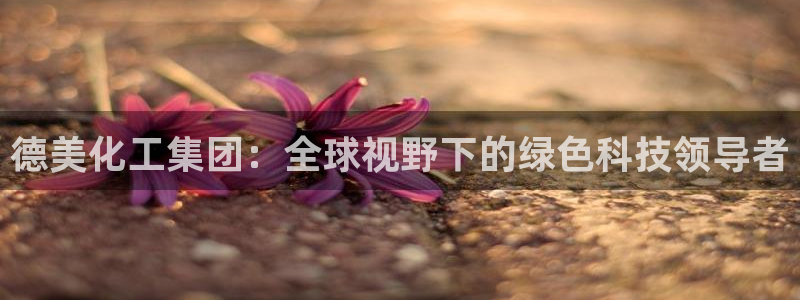 球盟会可以提现么是真的吗：德美化工集团：全球视野下的绿色科技