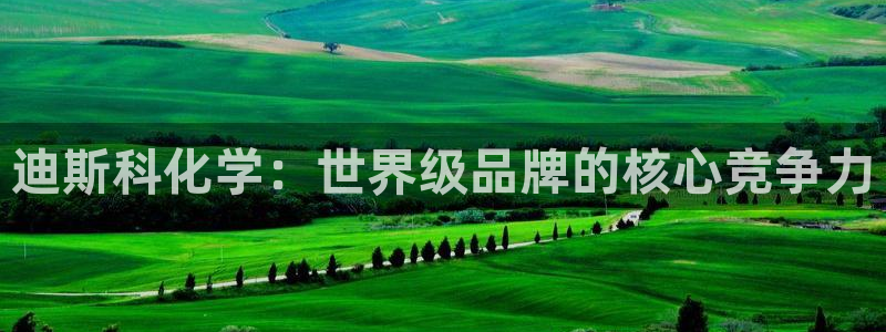 球盟会官方网站入口：迪斯科化学：世界级品牌的核心竞争力