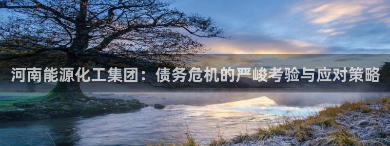 球盟会类似的网站：河南能源化工集团：债务危机的严峻考验与应对