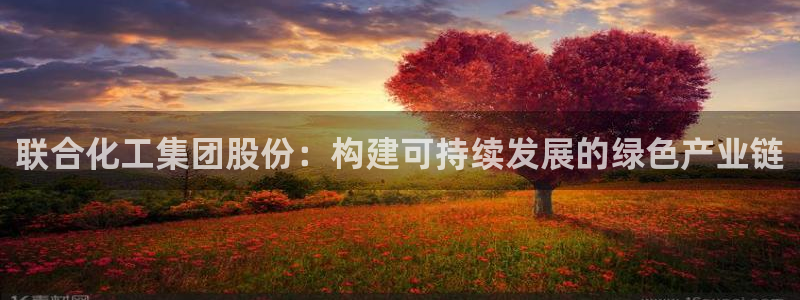 球盟会网页版登陆：联合化工集团股份：构建可持续发展的绿色产业