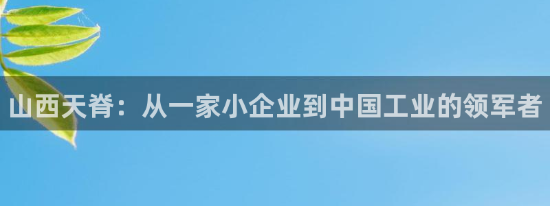 球盟会国际官网：山西天脊：从一家小企业到中国工业的领军者
