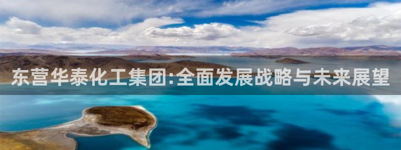 球盟会和中欧会的区别：东营华泰化工集团: