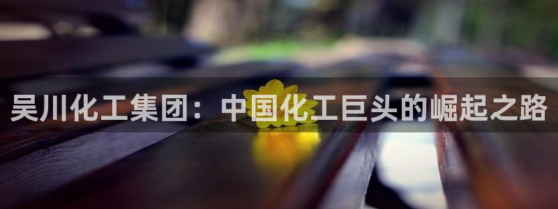 球盟会登录网址