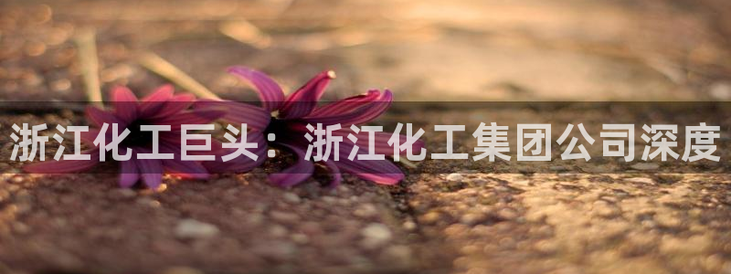 球盟会网址qm9 - 球盟会qmh网页版登录