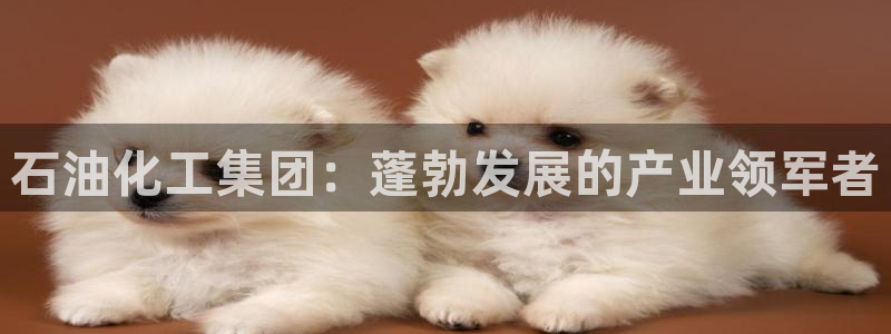 球盟会qmh电子网页版登录