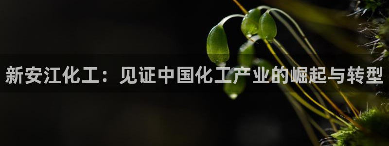 球盟会qmh电子网页版登录