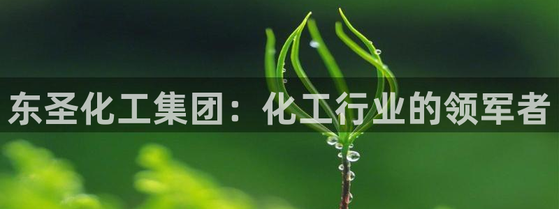 球盟会官方网页登录