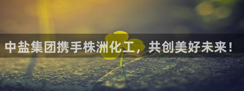 球盟会：中盐集团携手株洲化工，共创美好未来！