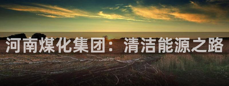 球盟会下载最新版