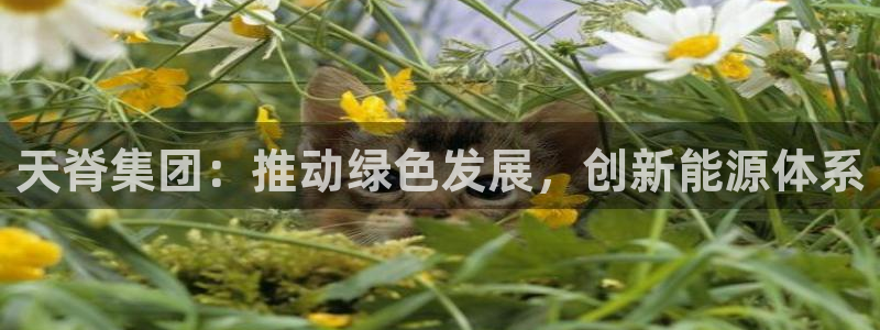 球盟会黑台：天脊集团：推动绿色发展，创新能源体系