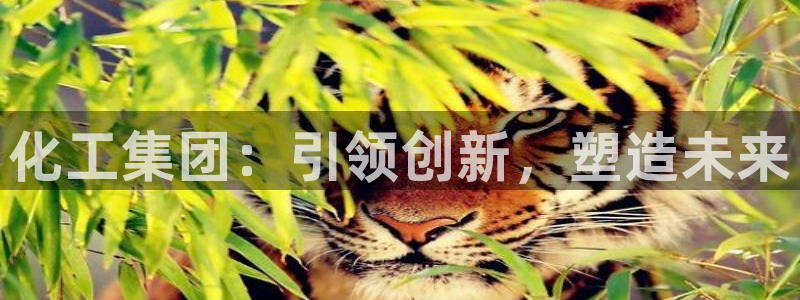 球盟会有没有黑单的人：化工集团：引领创新，塑造未来
