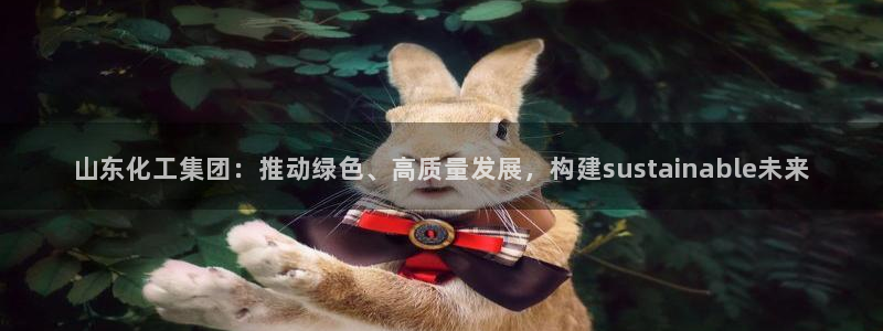 球盟会最新活动：山东化工集团：推动绿色、高质量发展，构建su