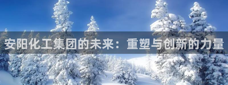 球盟会黑网：安阳化工集团的未来：重塑与创新的力量