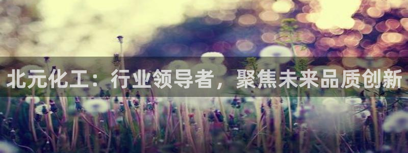 千亿球盟会：北元化工：行业领导者，聚焦未来品质创新