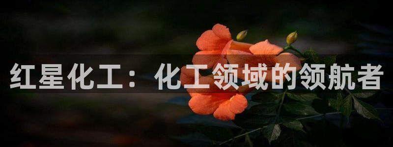 球盟会app最新地址下载：红星化工：化工领域的领航者