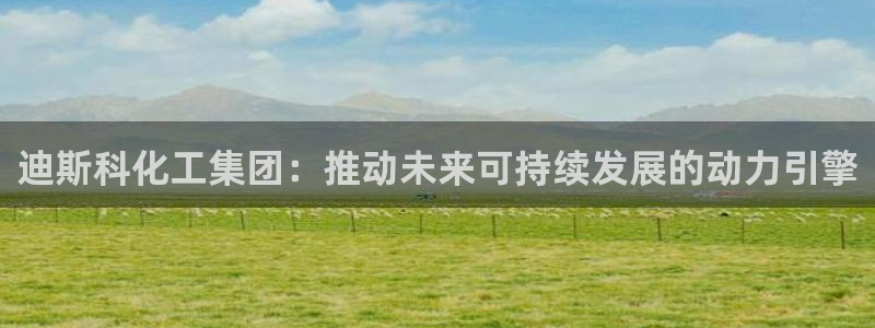 球盟会中国网页登录：迪斯科化工集团：推动未来可持续发展的动力
