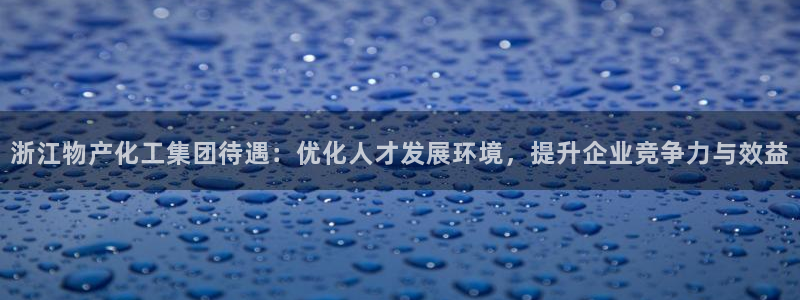 球盟会和中欧：浙江物产化工集团待遇：优化人才发展环境，提升企