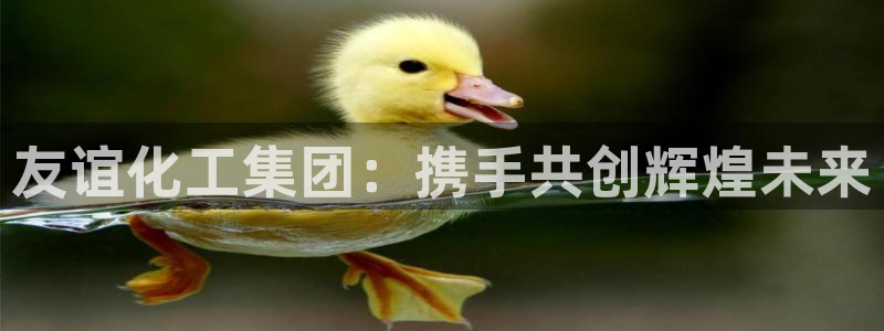 球盟会qmh：友谊化工集团：携手共创辉煌未来