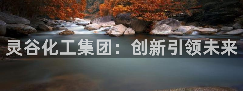 球盟会App：灵谷化工集团：创新引领未来